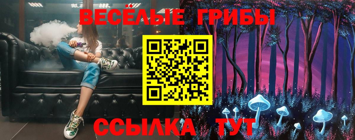 Псилоцибиновые грибы Magic Shrooms  Вход с VPN  где можно купить наркотик  Новошахтинск 
