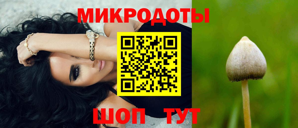 Псилоцибиновые грибы Magic Shrooms Новошахтинск